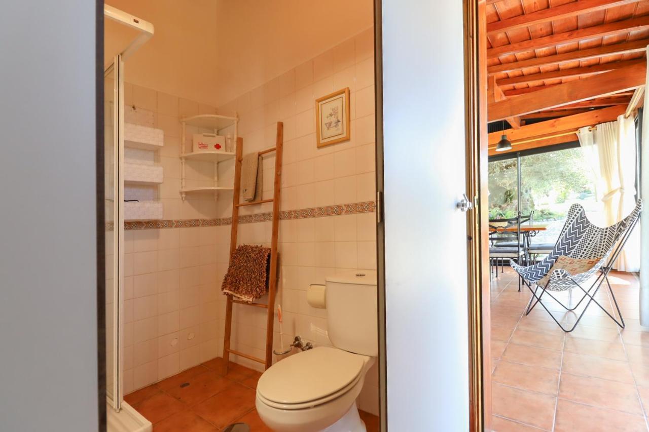 Casa Largo Do Porto - Country House With Swimming Pool Viana do Castelo Dış mekan fotoğraf